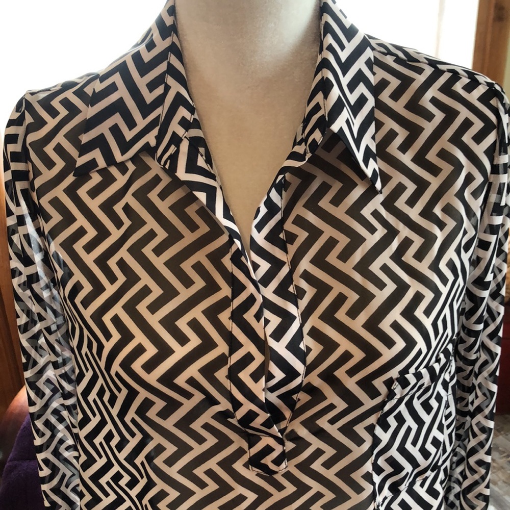 Lovely semi-sheer Pleione Blouse